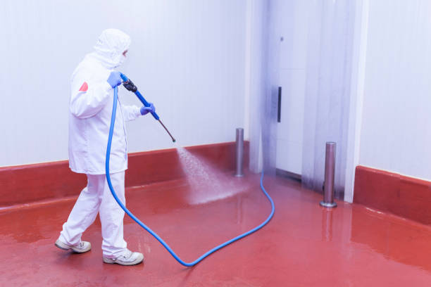 Best Patio and Deck Pressure Washing  in Fort Irwin, CA